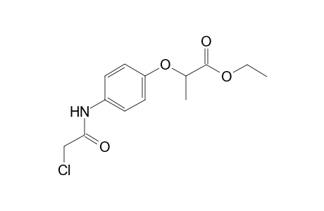 (+/-)Ethyl 2-[4-(2-chloroacetamido)phenoxy]propanoate