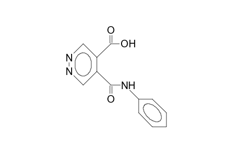 5-(Phenylcarbamoyl)-4-pyridazinecarboxylic acid