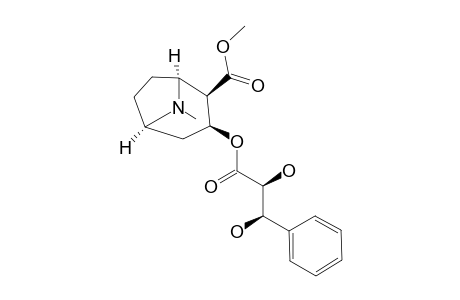 (2S,3R)-DIHYDROXY-3-PHENYLPROPIONYL-ECGONINE-METHYLESTER