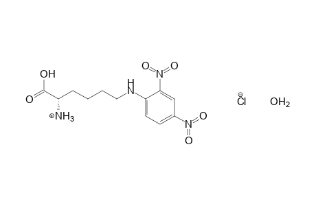 N6-(2,4-dinitrophenyl)-L-lysine, monohydrochloride, monohydrate