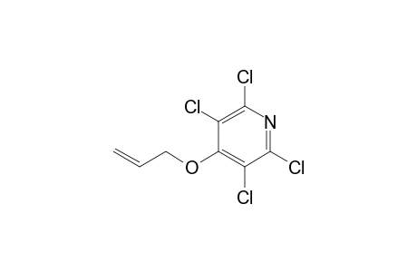 2,3,5,6-Tetrachloro-4-allyloxypyridine