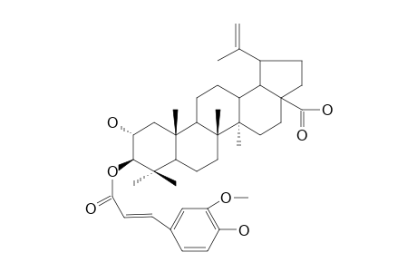 EUCALYPTIC_ACID