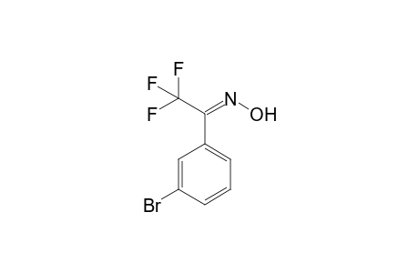 1-(3'-Bromophenyl)-2,2,2-trifluoro-1-ethanone - oxime