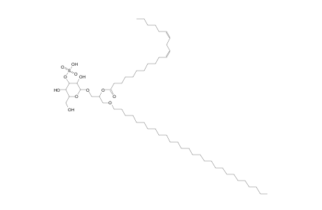 SMGDG O-28:0_20:2