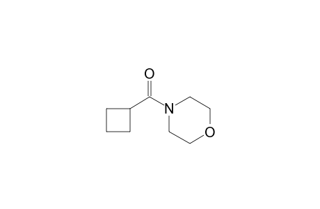 Cyclobutanecarboxylic acid, morpholide