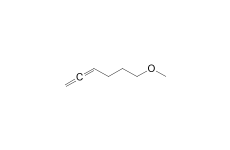 1,2-Hexadiene, 6-methoxy-