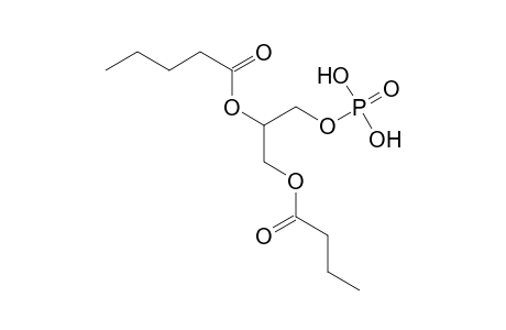 PA 4:0_5:0