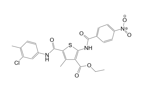 3-thiophenecarboxylic acid, 5-[[(3-chloro-4-methylphenyl)amino]carbonyl]-4-methyl-2-[(4-nitrobenzoyl)amino]-, ethyl ester