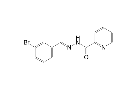 2-pyridinecarboxylic acid, 2-[(E)-(3-bromophenyl)methylidene]hydrazide