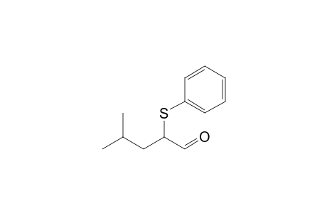 4-Methyl-2-(phenylthio)pentanal