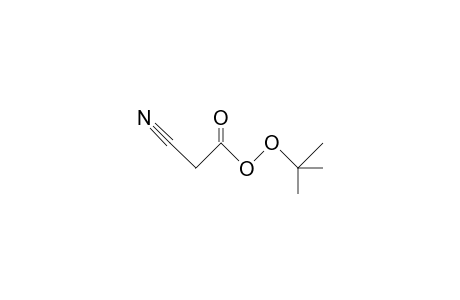 Cyano-acetic acid, tert-butyl perester