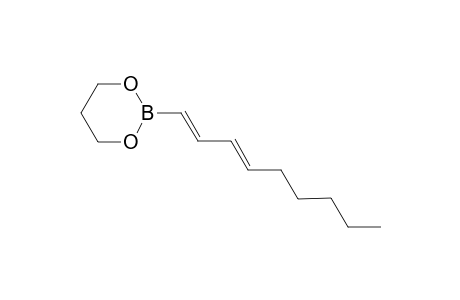((1E,3E)-2-Nona-1,3-dienyl)-[1,3,2]dioxaborinane