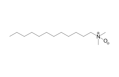 N,N-Dimethyldodecylamine N-oxide