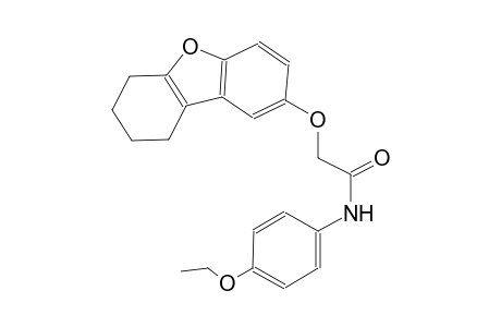 acetamide, N-(4-ethoxyphenyl)-2-[(6,7,8,9-tetrahydrodibenzo[b,d]furan-2-yl)oxy]-