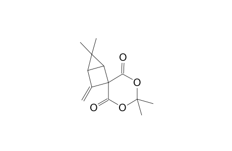 3-Methylene-2',2',5,5-tetramethylspiro[bicyclo[2.21.0]pentane-2,5'-[1,3]-dioxane-4',6'-dione