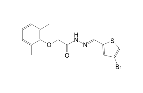 N'-[(E)-(4-bromo-2-thienyl)methylidene]-2-(2,6-dimethylphenoxy)acetohydrazide