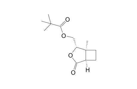 [(1R,4S,5S)-5-methyl-2-oxidanylidene-3-oxabicyclo[3.2.0]heptan-4-yl]methyl 2,2-dimethylpropanoate