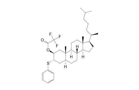 Cholestan-2-ol, 3-(phenylthio)-, trifluoroacetate, (2.beta.,3.alpha.,5.alpha.)-