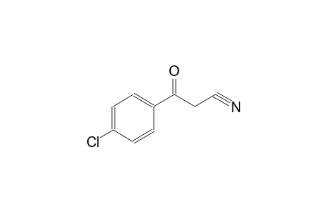 3-(4-chlorophenyl)-3-oxopropanenitrile
