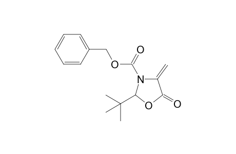 2-tert-butyl-5-keto-4-methylene-oxazolidine-3-carboxylic acid benzyl ester