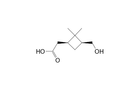 (+-)-cis-3-Hydroxymethyl-2,2-dimethyl-1-cyclobutaneacetic acid