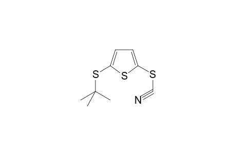 5-(tert-Butylsulfanyl)-2-thienyl thiocyanate
