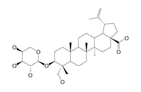 PULSATILLOSIDE-A;3-BETA,23-DIHYDROXY-LUP-20(29)-EN-28-OIC-ACID-3-O-ALPHA-L-ARABINOPYRANOSIDE