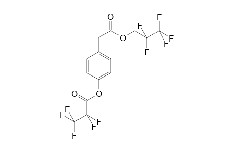 4-Hydroxyphenylacetic acid 2PFP     @