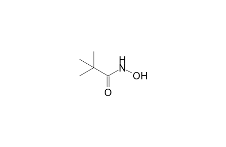 pivalohydroxamic acid