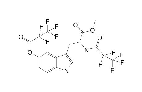 5-Hydroxytryptophan ME2PFP