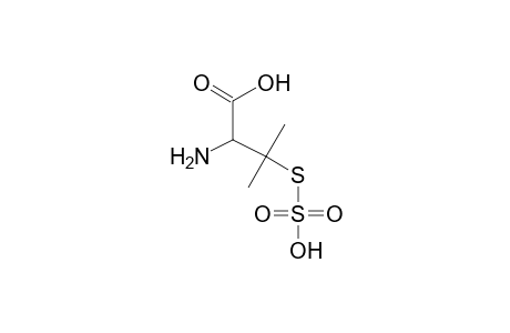 3-([Hydroxy(dioxido)sulfanyl]sulfanyl)valine