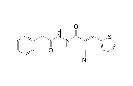 (E)-2-cyano-N'-(1-oxo-2-phenylethyl)-3-thiophen-2-yl-2-propenehydrazide