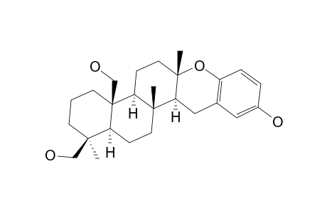 STRONGYLOPHORINE-25