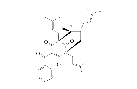 CLUSIANONE