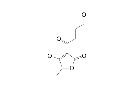 4-HYDROXY-3-(4-HYDROXYBUTYRYL)-5-METHYL-2(5H)-FURANONE