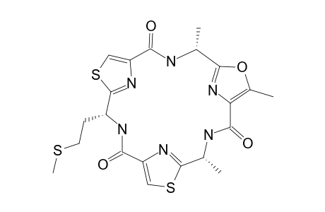 Dendroamide B