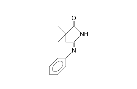 anti-N-Phenyl-2,2-dimethyl-succinisoimide
