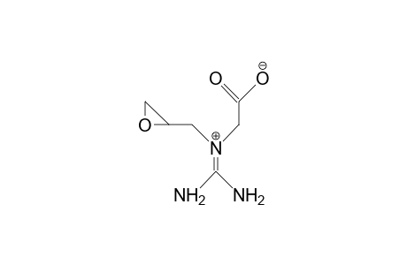 N-(2,3-Epoxy-propyl)-glycocyamine cation