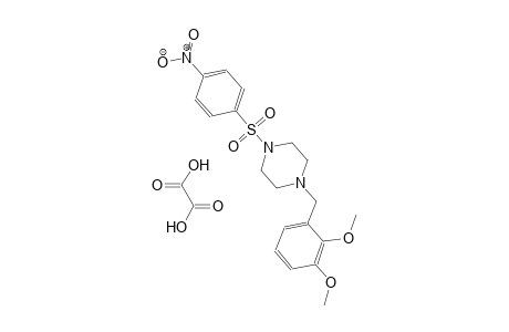 1-(2,3-dimethoxybenzyl)-4-((4-nitrophenyl)sulfonyl)piperazine oxalate
