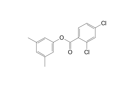 3,5-xylenol, 2,4-dichlorobenzoate