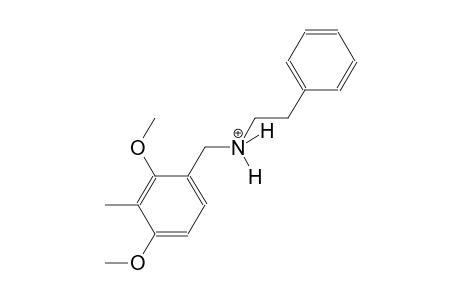 N-(2,4-dimethoxy-3-methylbenzyl)-2-phenylethanaminium