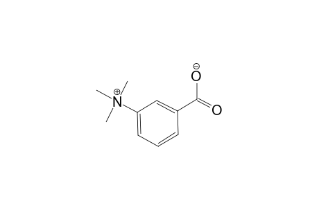 (3-carboxyphenyl)-trimethyl-ammonium