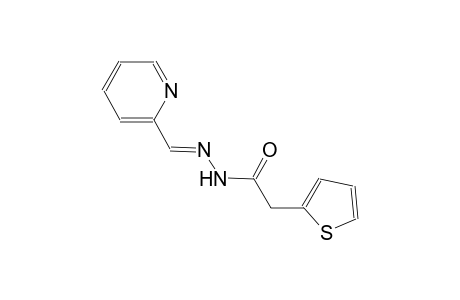 N'-[(E)-2-pyridinylmethylidene]-2-(2-thienyl)acetohydrazide