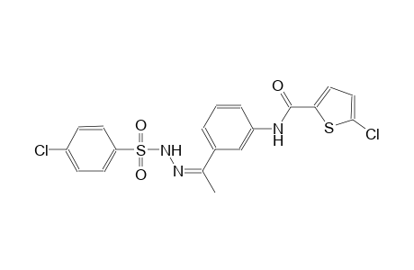 5-chloro-N-(3-{(1Z)-N-[(4-chlorophenyl)sulfonyl]ethanehydrazonoyl}phenyl)-2-thiophenecarboxamide