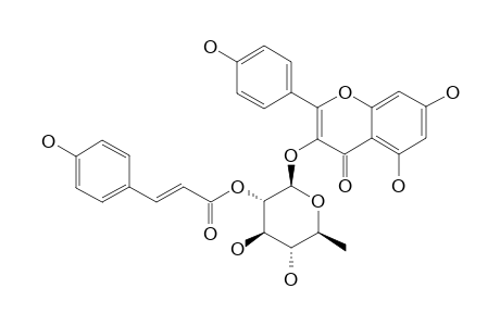 KAEMPFEROL-3-O-ALPHA-L-(2''-E-PARA-COUMAROYL)-RHAMNOPYRANOSIDE