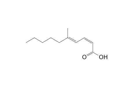 (2Z,4E)-5-methyldeca-2,4-dienoic acid
