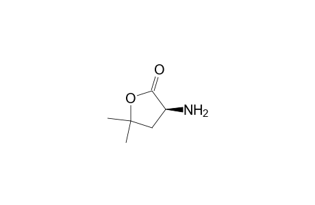 2(3H)-Furanone, 3-aminodihydro-5,5-dimethyl-