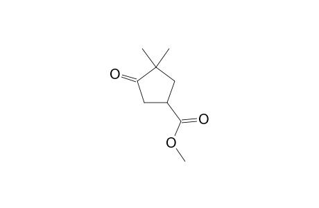 Methyl 3,3-dimethyl-4-oxocyclopentanecarboxylate