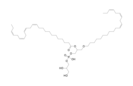 PG O-20:3_24:4