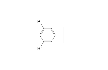 1,3-bis(bromanyl)-5-tert-butyl-benzene